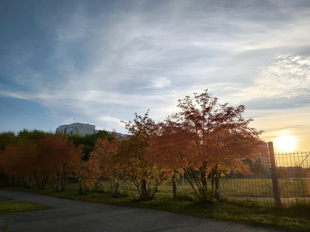 Фотография автора Александр Осинцев