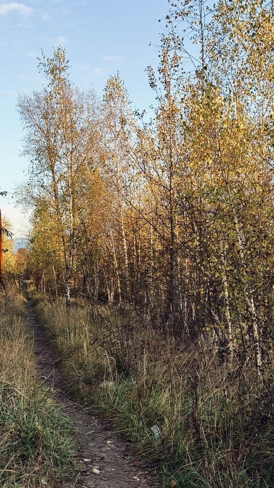 Photograph by Светлана Родионова