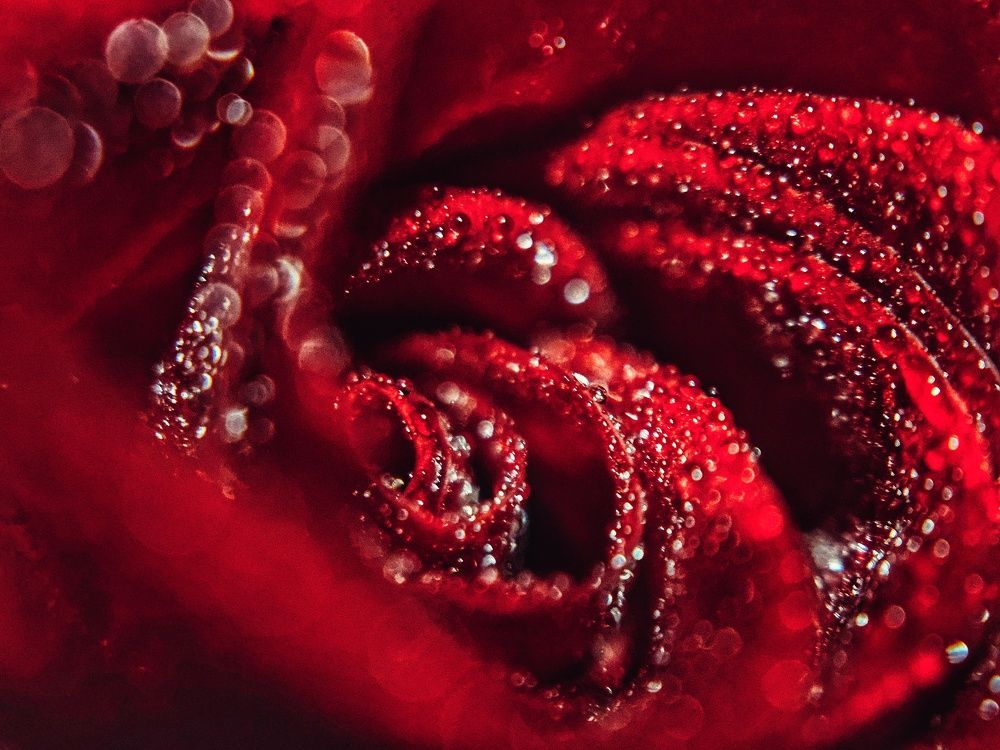 Photograph by Ольга Веселова