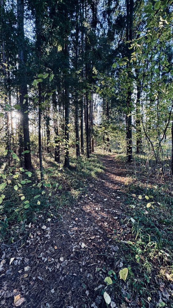 Photograph by Светлана Родионова