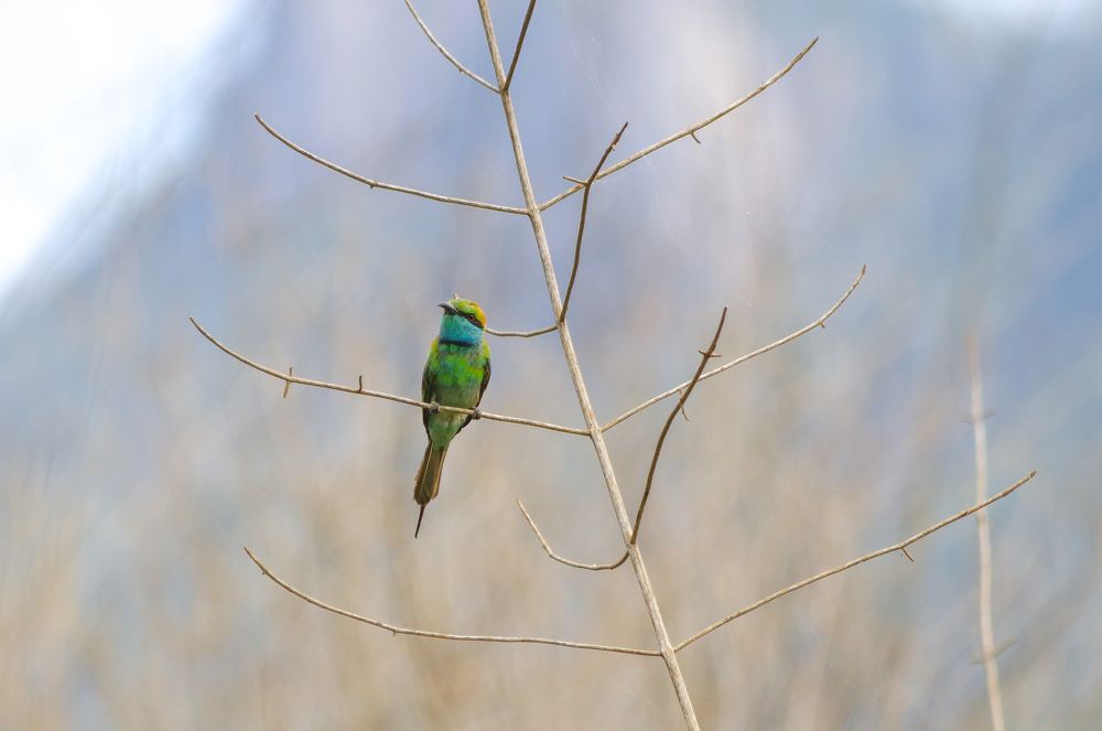 Photograph by Menula Dharmathilake