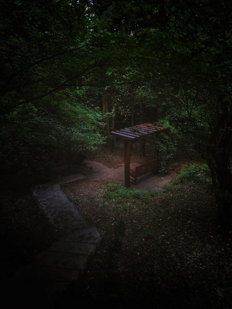 Photograph by Евгения Кинжакова