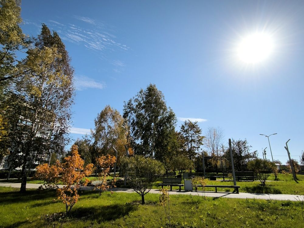 Фотография автора Александр Осинцев