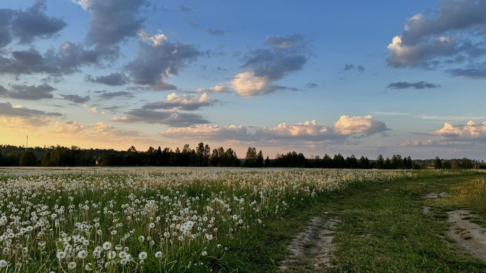 Photograph by Светлана Родионова