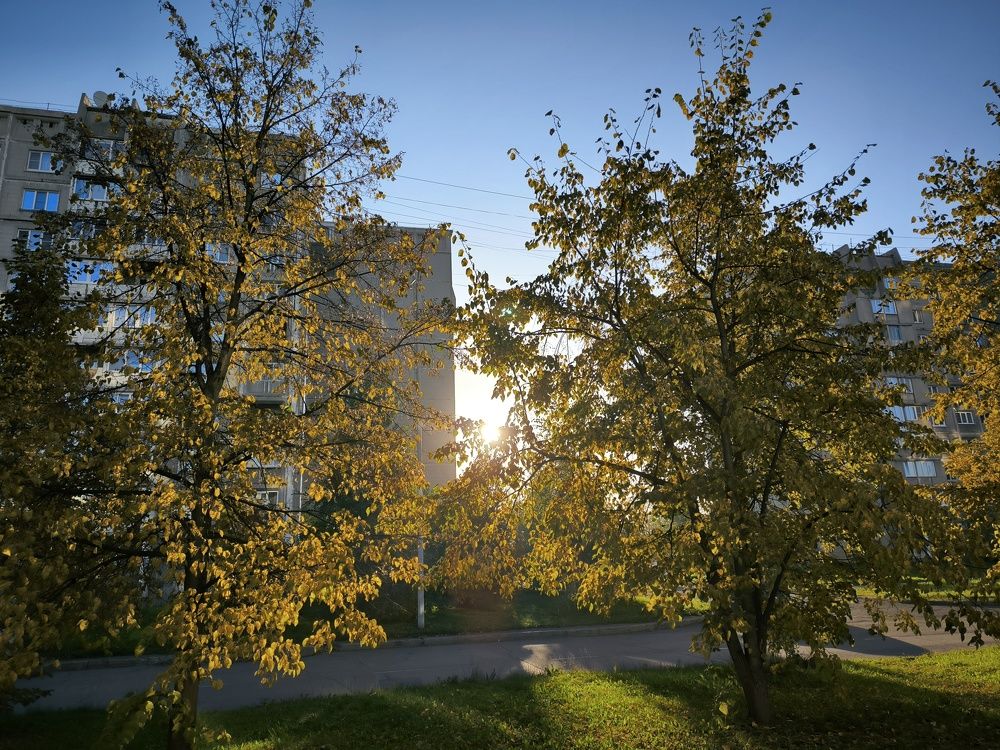 Фотография автора Александр Осинцев