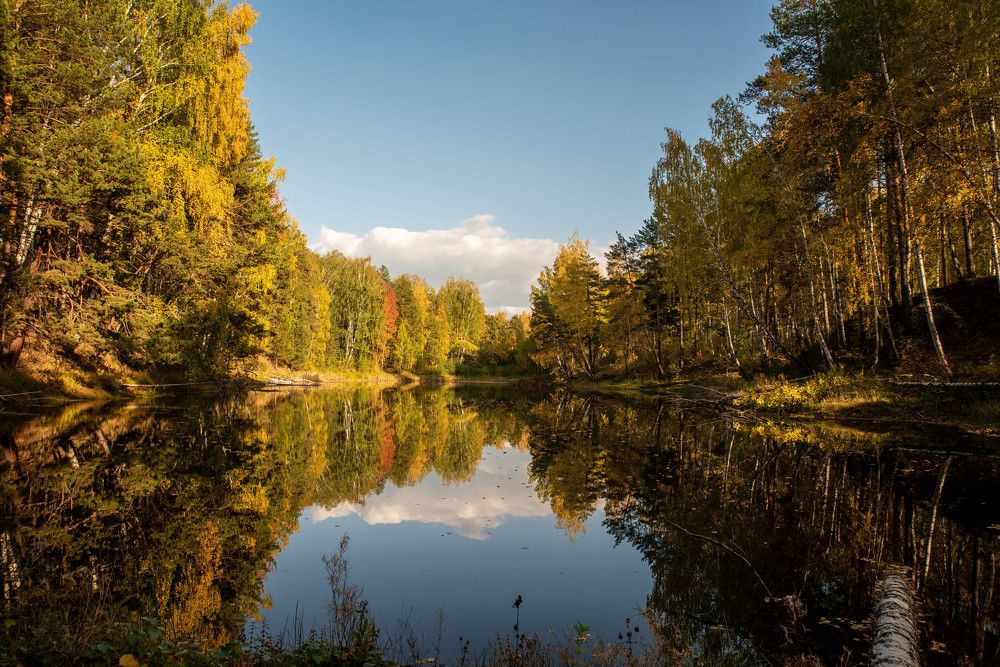 Фотография автора Сергей Чесноков