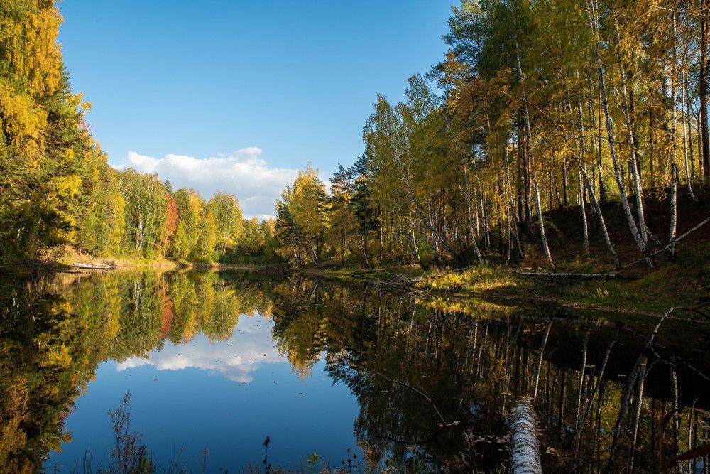 Фотография автора Сергей Чесноков