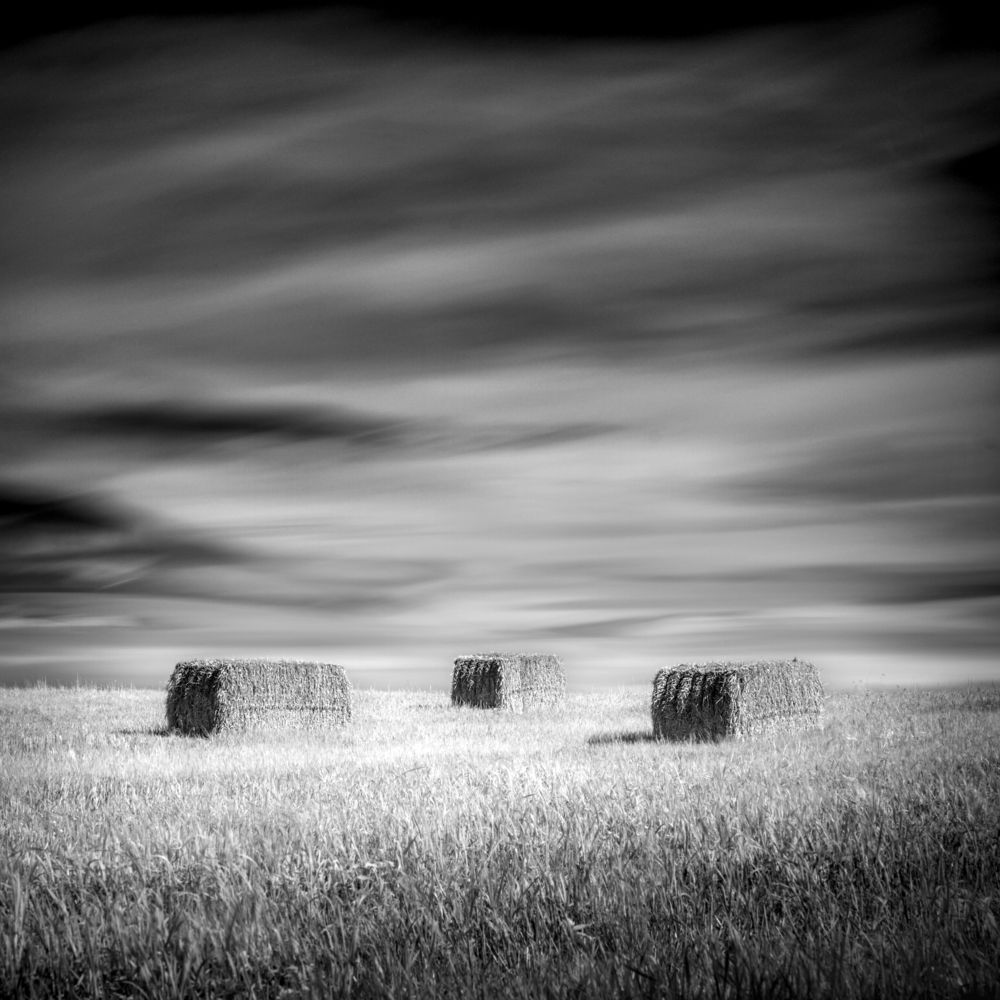 Rationnalisme agricole