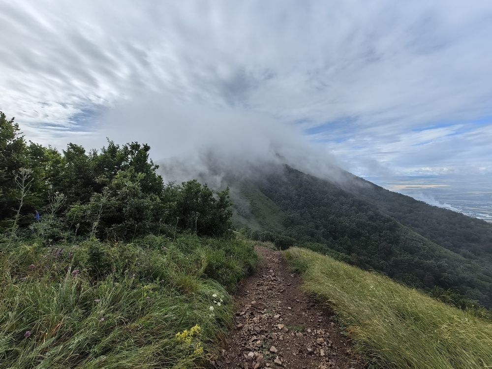 Photograph by Maiya Bulatova