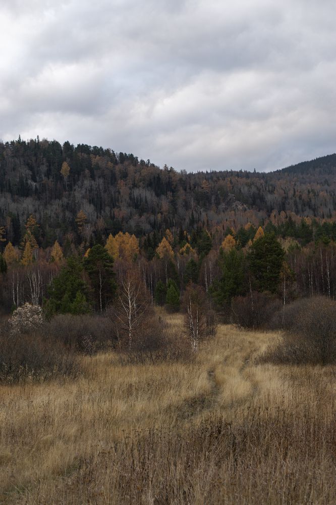 Photograph by Анастасия Сартакова