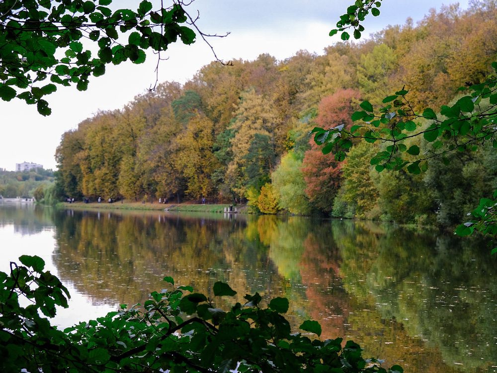 Photograph by Татьяна Павловская