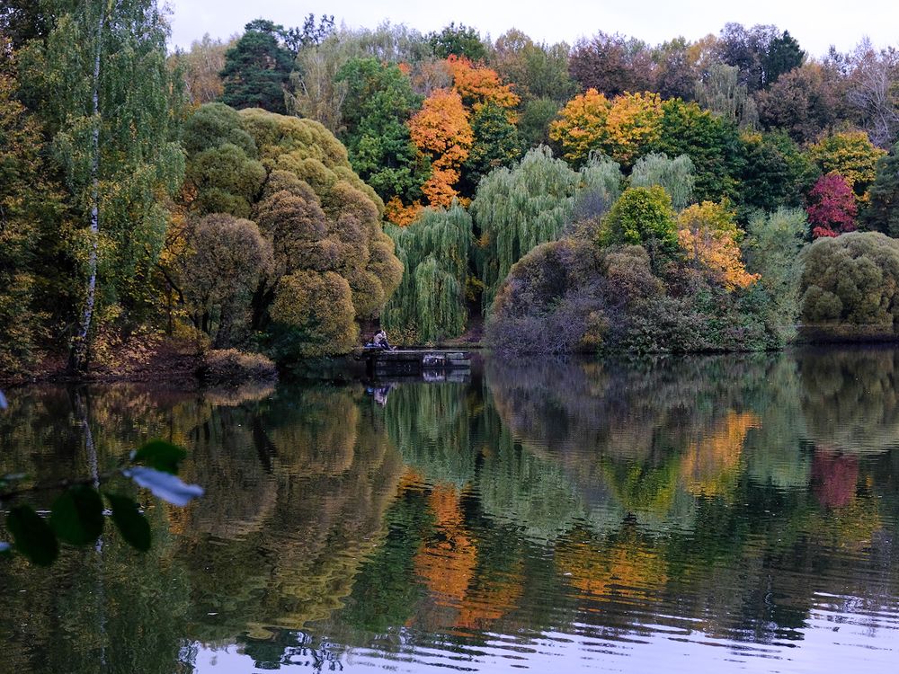 Photograph by Татьяна Павловская