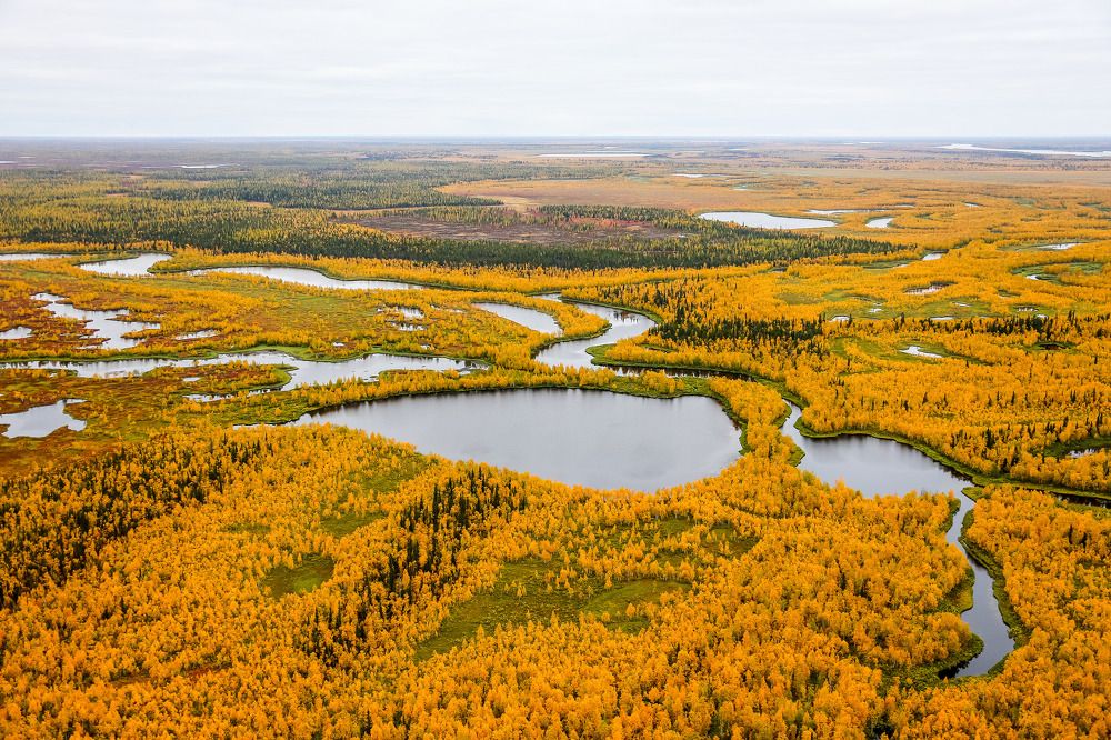 Photograph by Kozionov Pavel