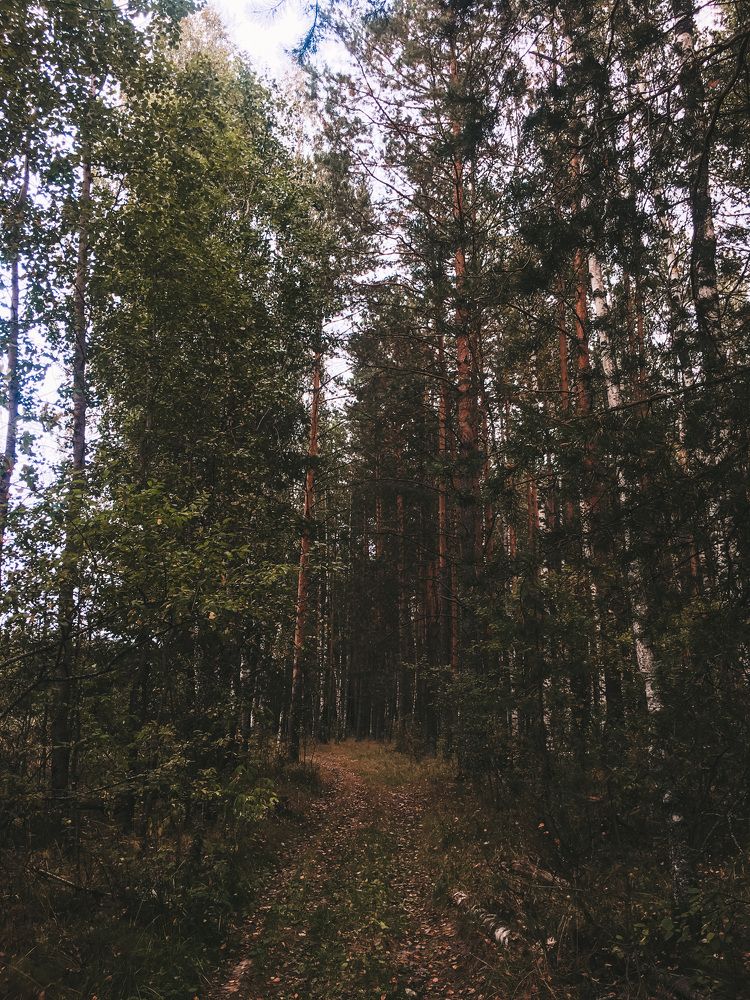 Photograph by Елизавета Большакова