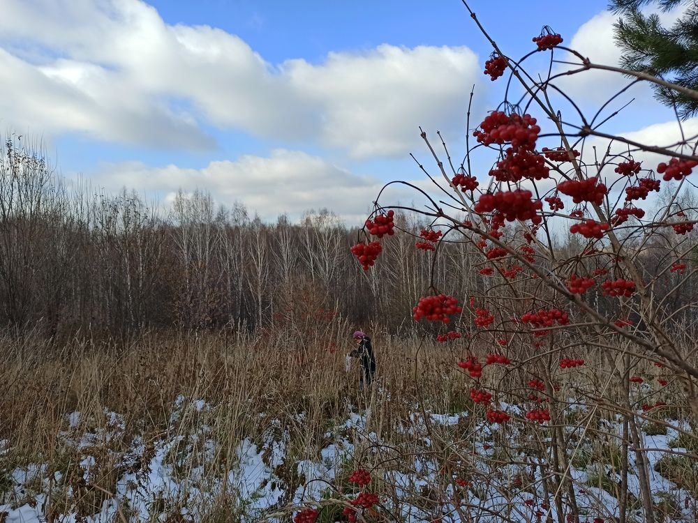 Фотография автора Александр Осинцев
