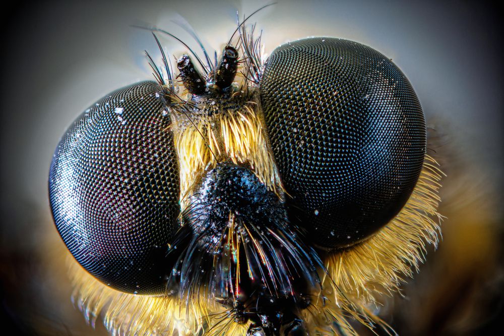 Photograph by Oleksii Maznychenko