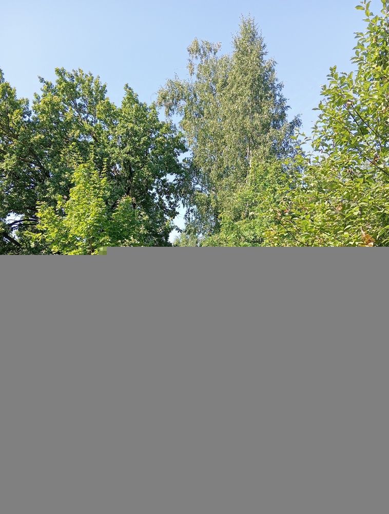 Photograph by Елена Коробченко