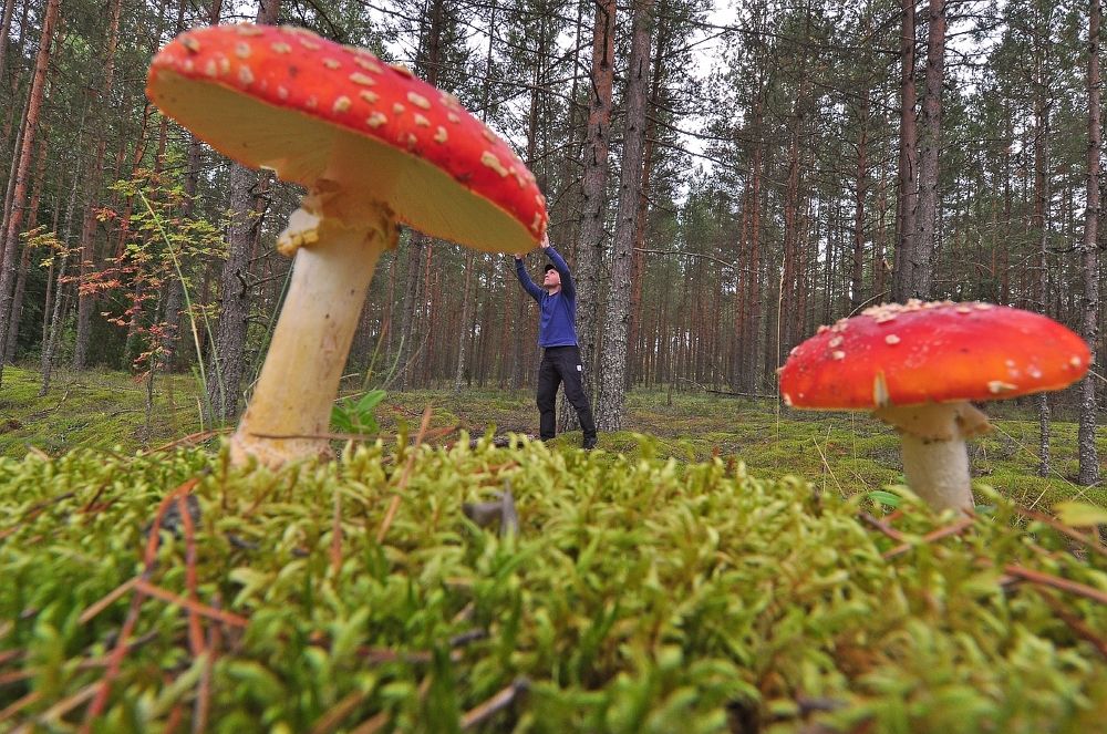 Photograph by Юрий Яковлев