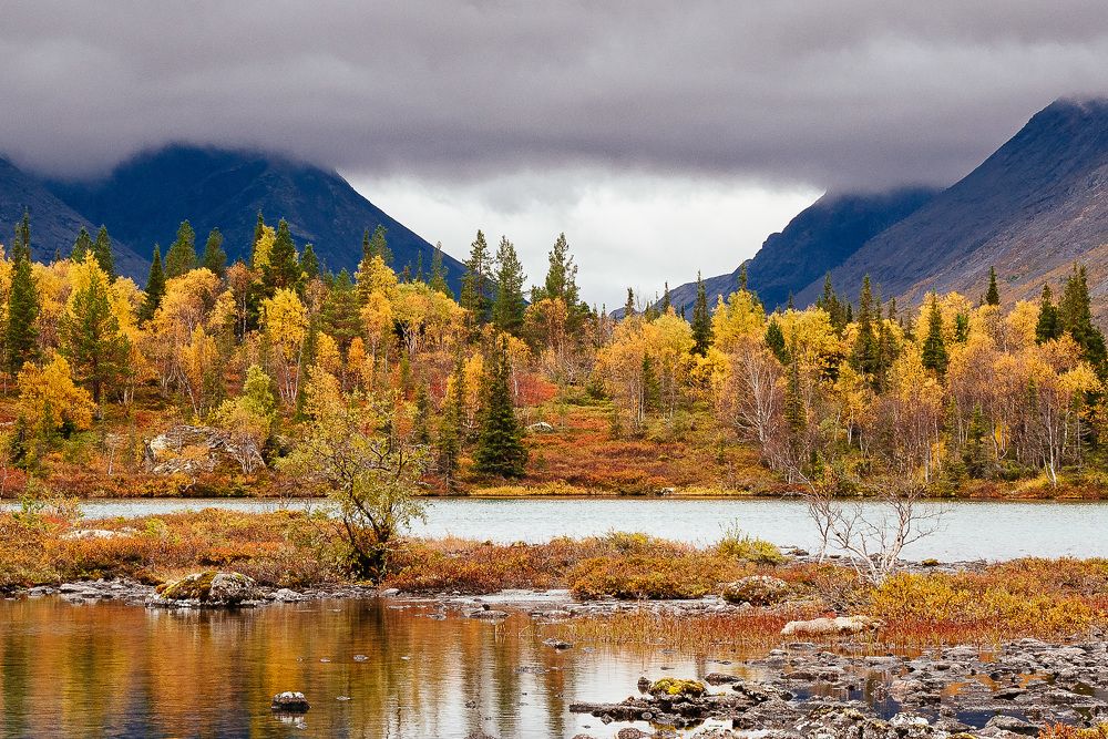 Photograph by Леонид Синев