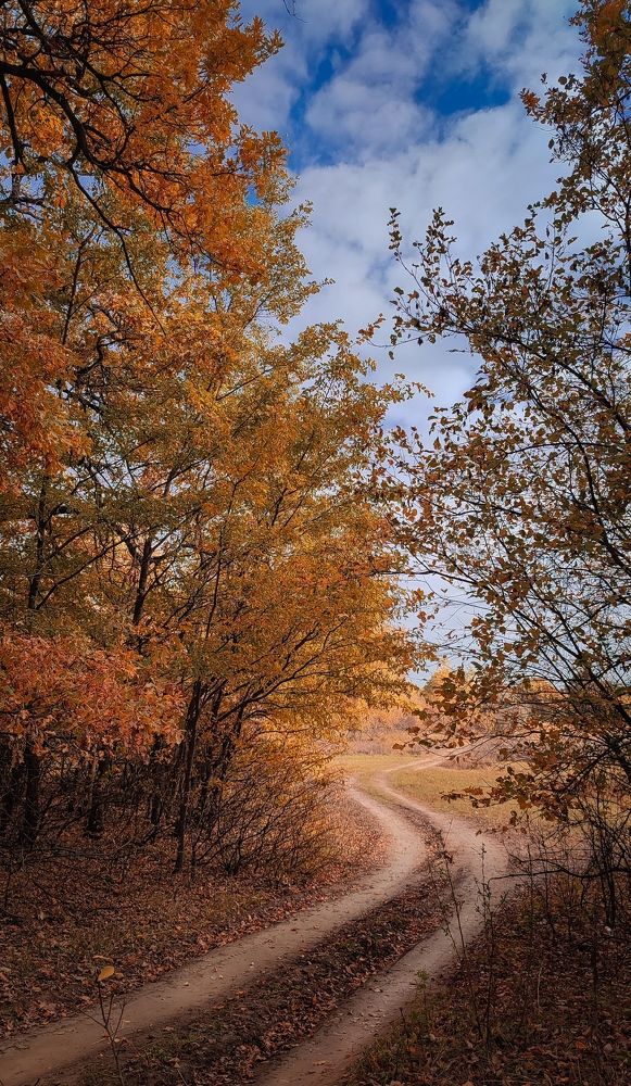 Фотография автора Анастасия Мамаева