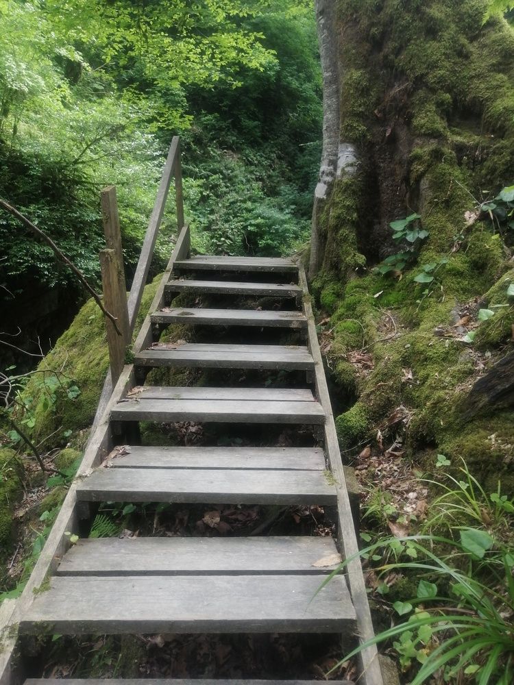 Photograph by Шхалахов Азамат