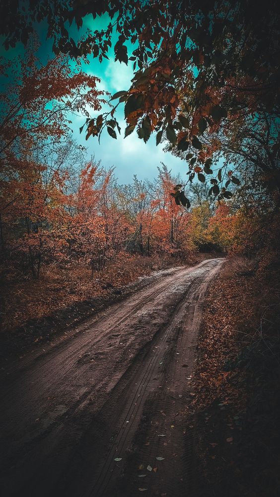 Фотография автора Наталья Алексеева