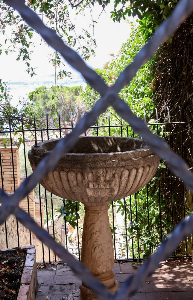 Photograph by Grădinaru Catalin