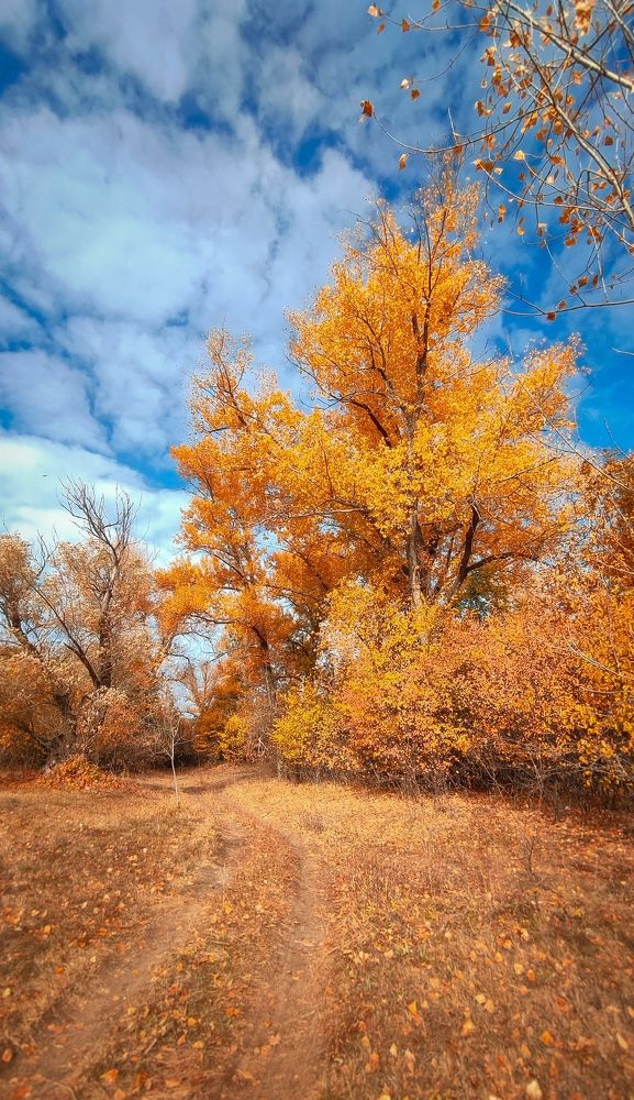 Фотография автора Анастасия Мамаева