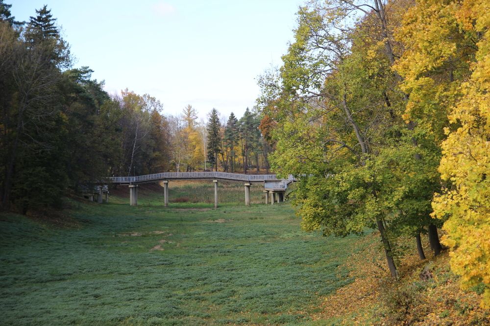 Photograph by Наталья Рыкова