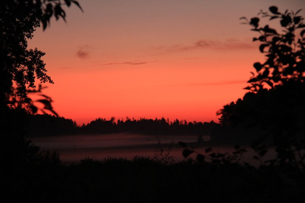 Фотография автора Анастасия Зверева