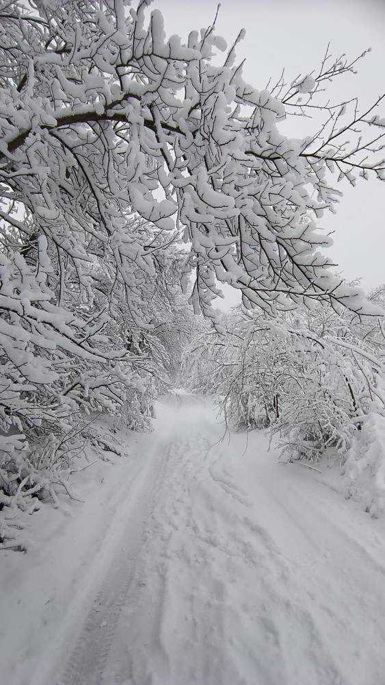 Фотография автора Наталья Алексеева