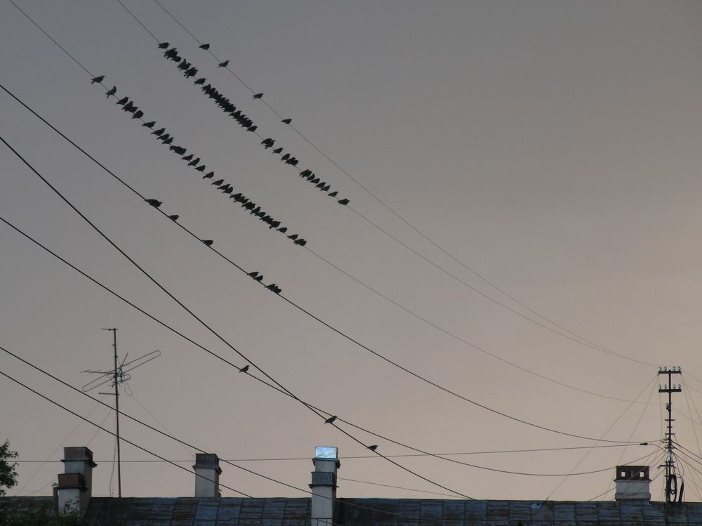 Фотография автора Анастасия Зверева