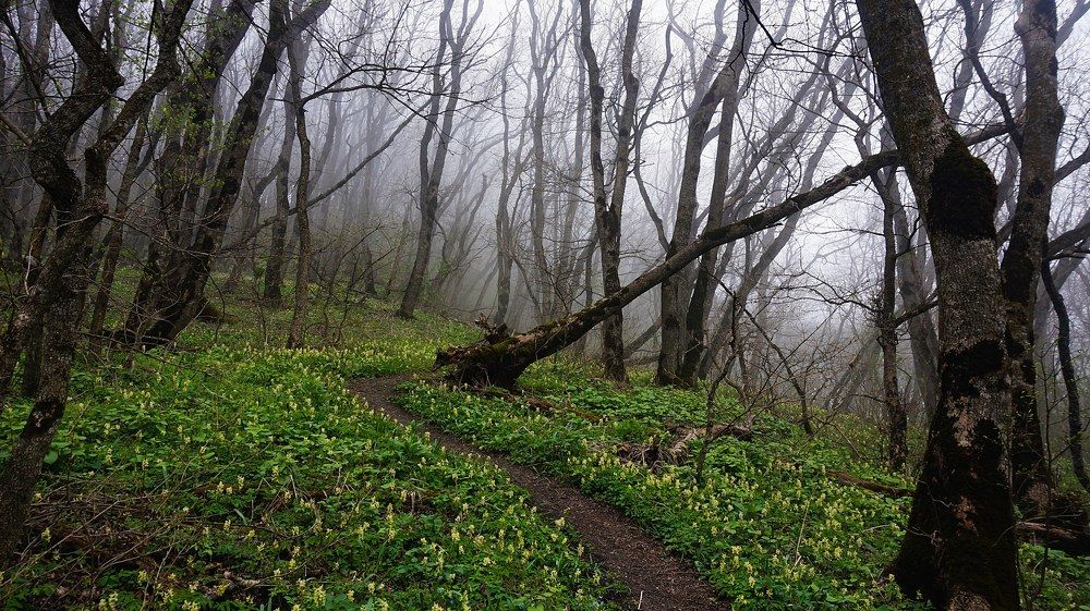 Photograph by Вадим Карпов