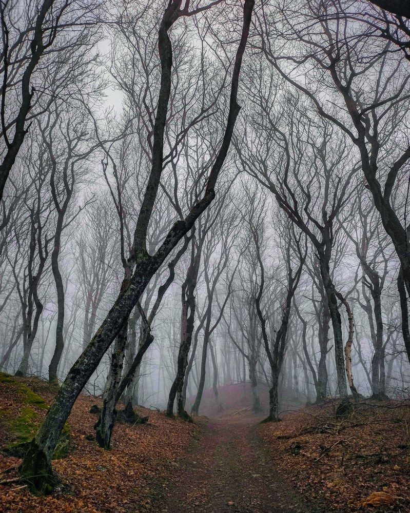 Photograph by Вадим Карпов