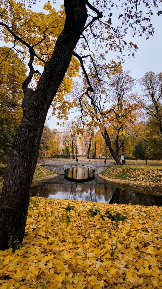 Фотография автора Ekaterina Sapezhinskaya