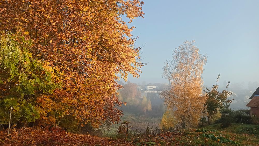 Фотография автора Ирина Черненко