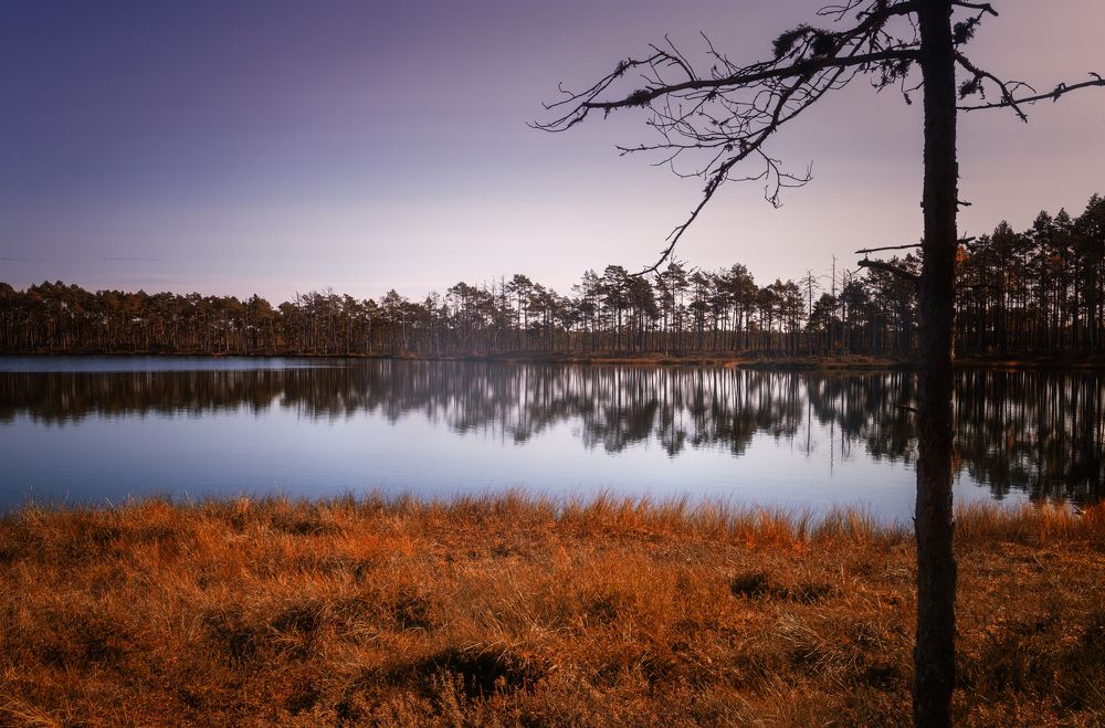 Фотография автора Lija Mezecka