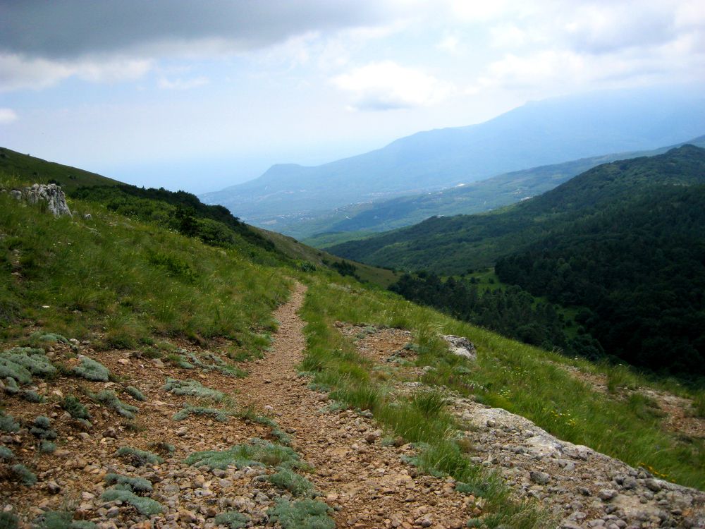 Photograph by Алёна Шкуратова