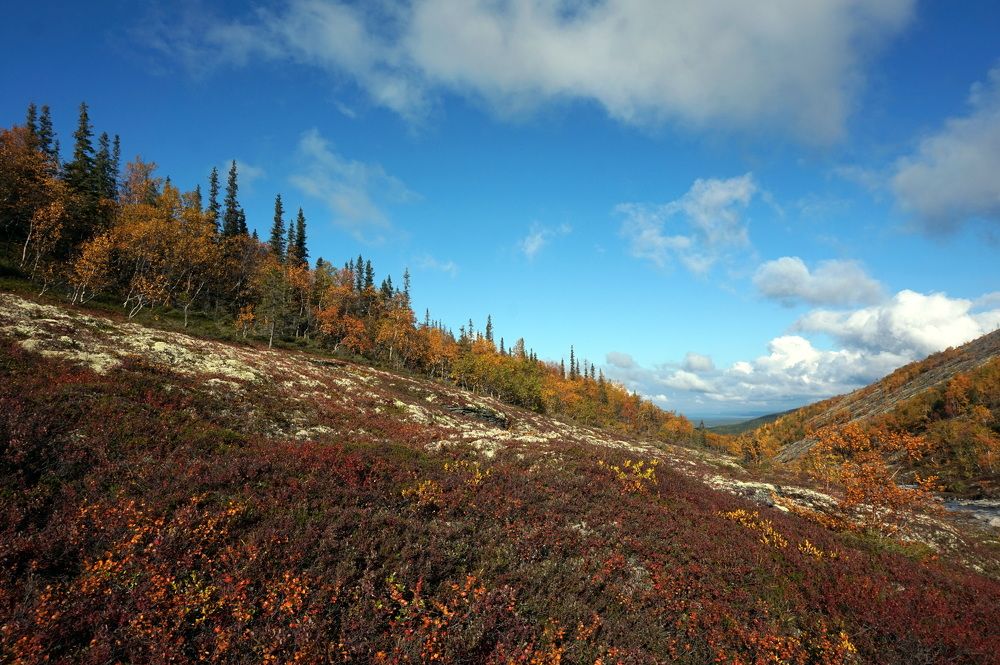 Photograph by Лена Максимкина