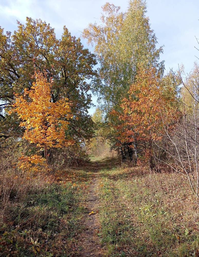 Photograph by Елена Коробченко