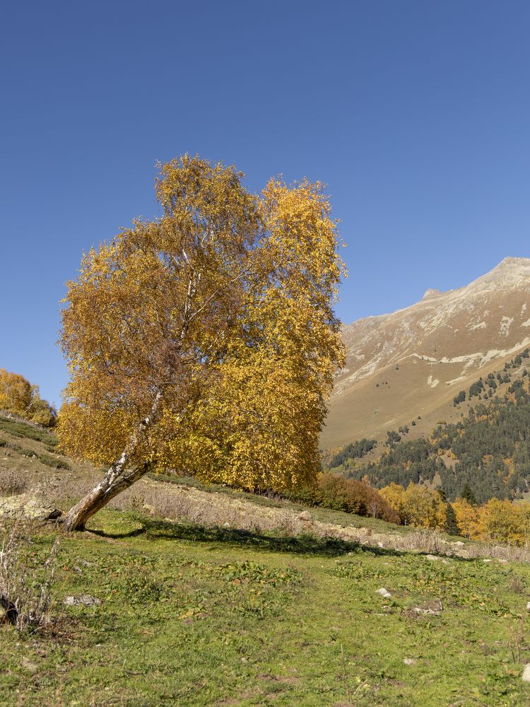 Фотография автора Ильдар Салимов