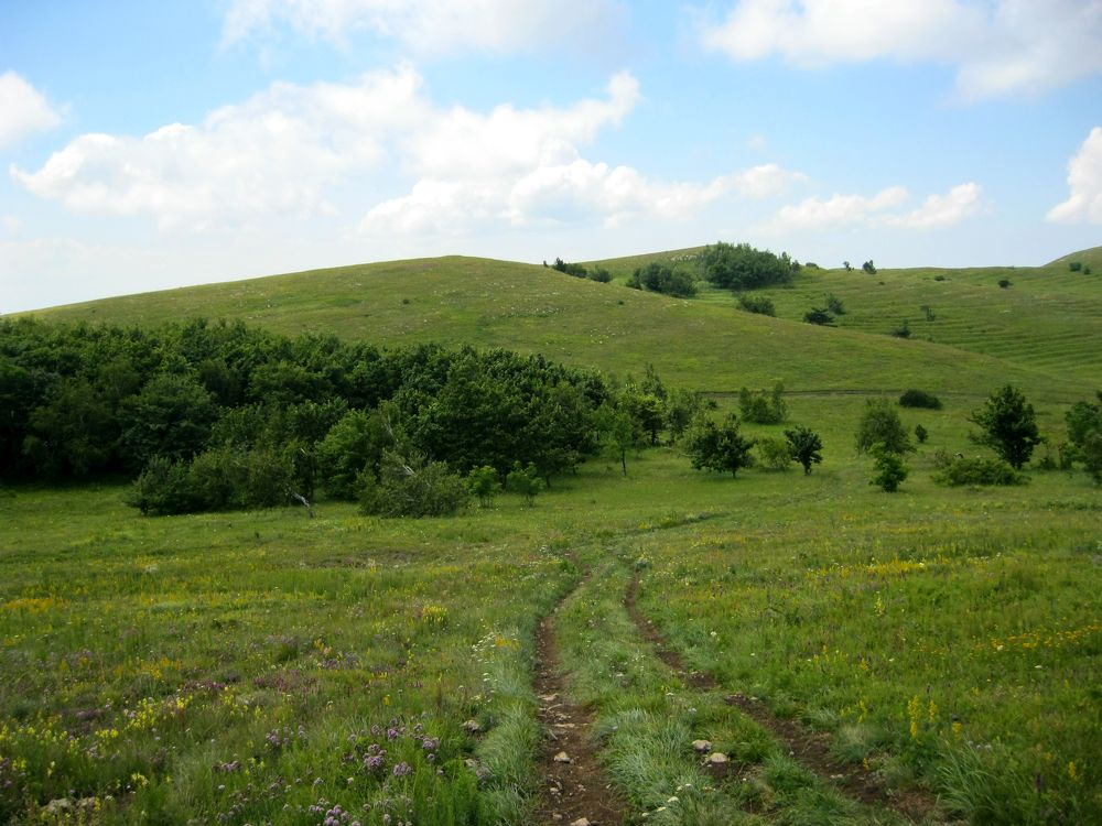 Photograph by Алёна Шкуратова