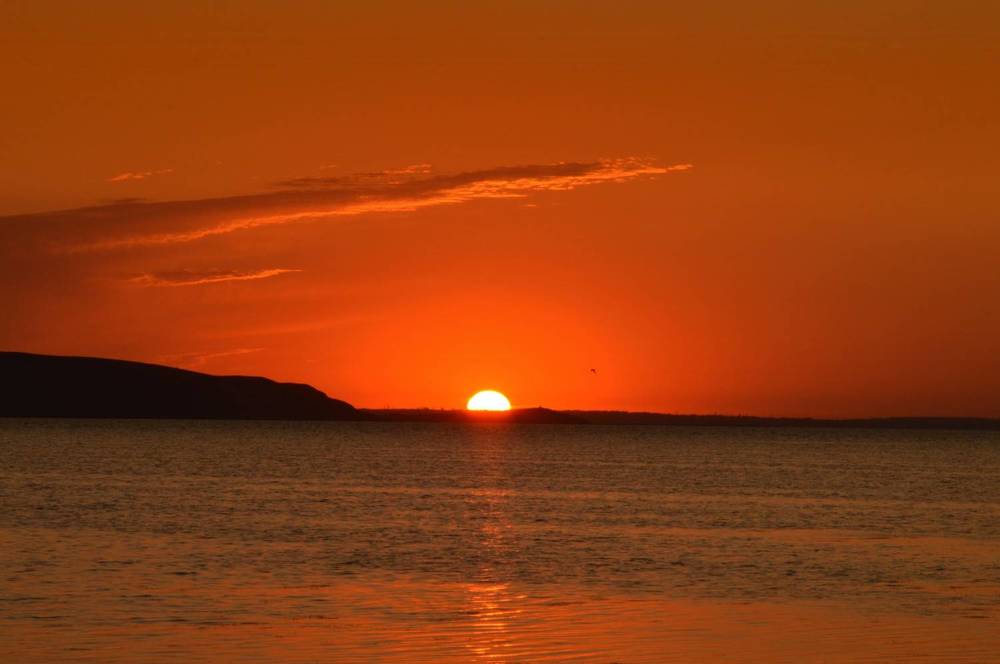 Photograph by Ольга Шевцова