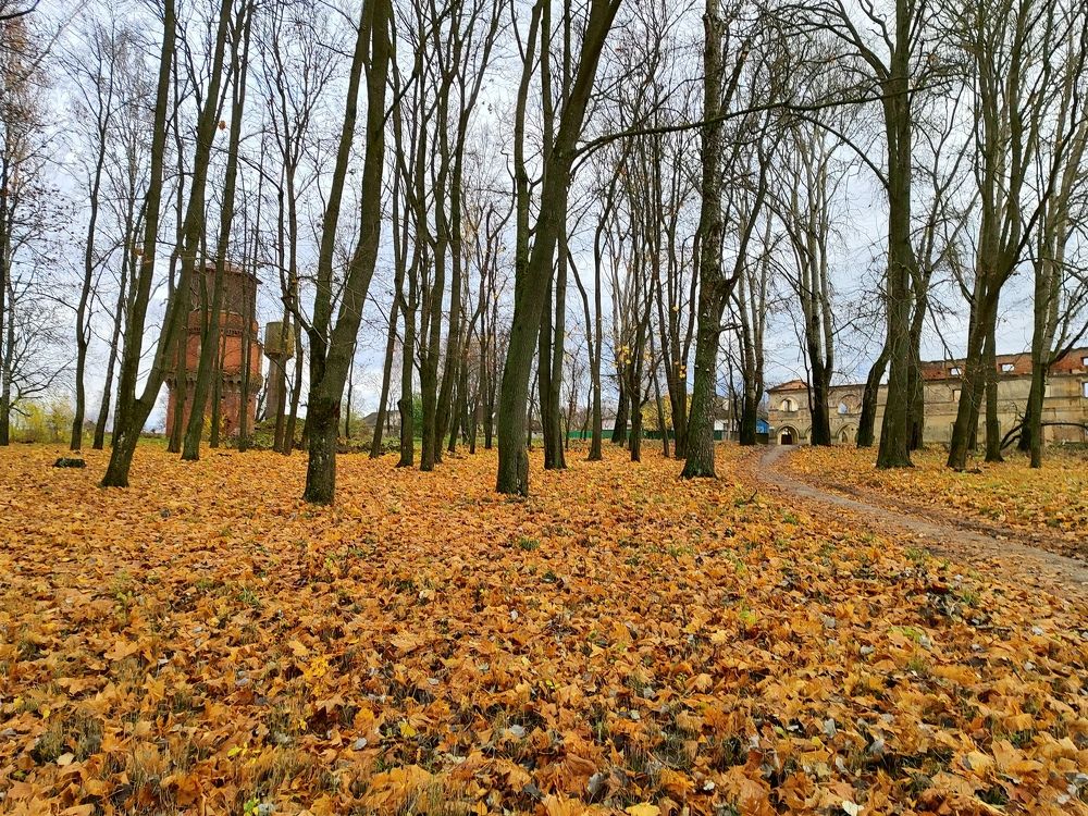 Photograph by Екатерина Борисовна Кузьмина