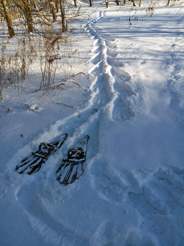 Фотография автора Антип