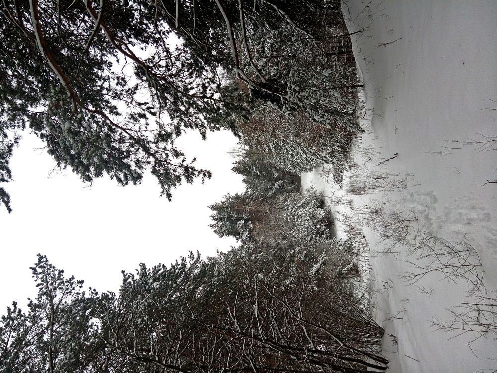 Фотография автора Антип