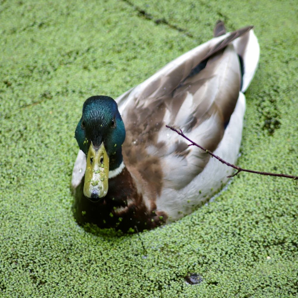 Photograph by Анастасия Рабочева
