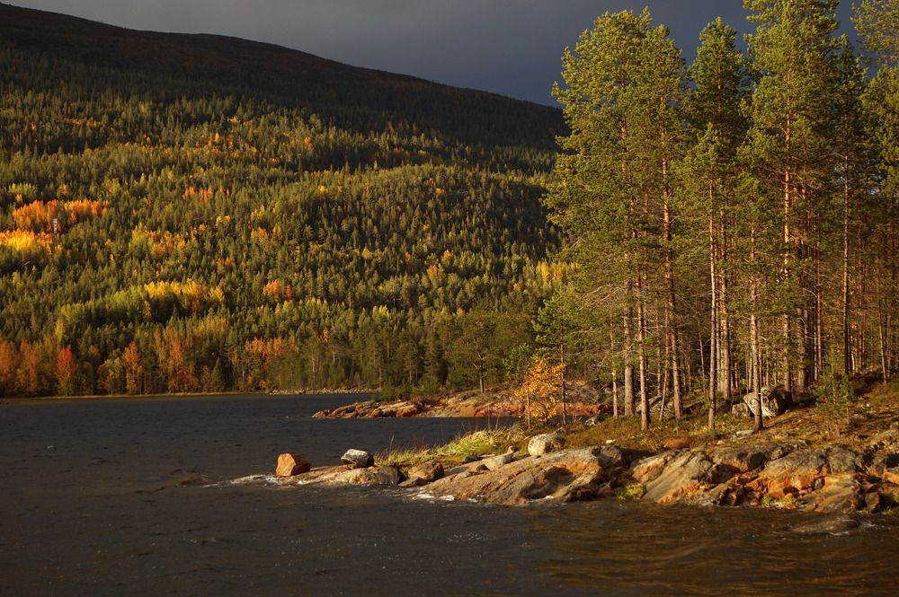 Photograph by Лена Максимкина