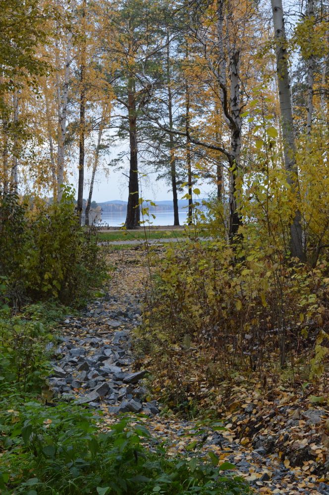 Photograph by Дарья Ростовцева