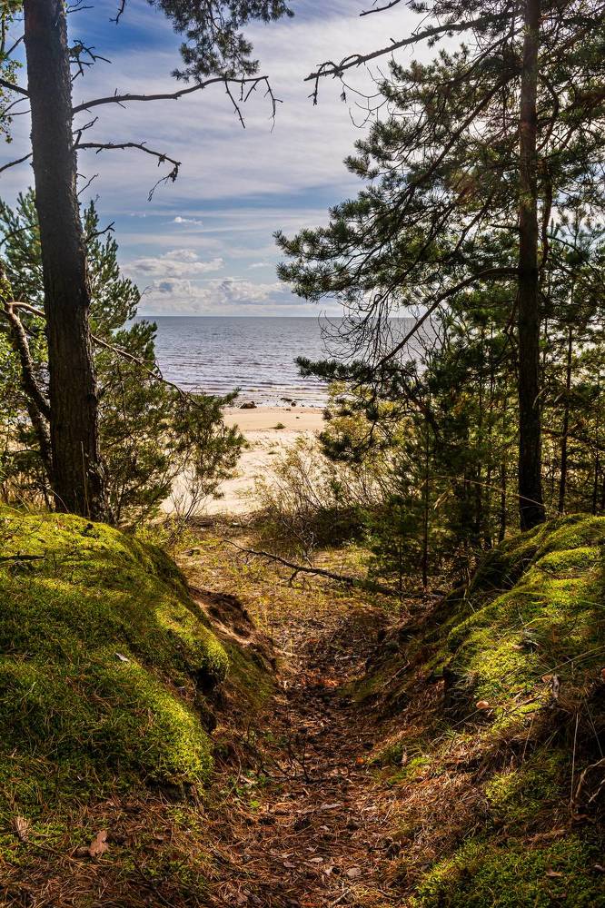 Photograph by Nikolai Barchan